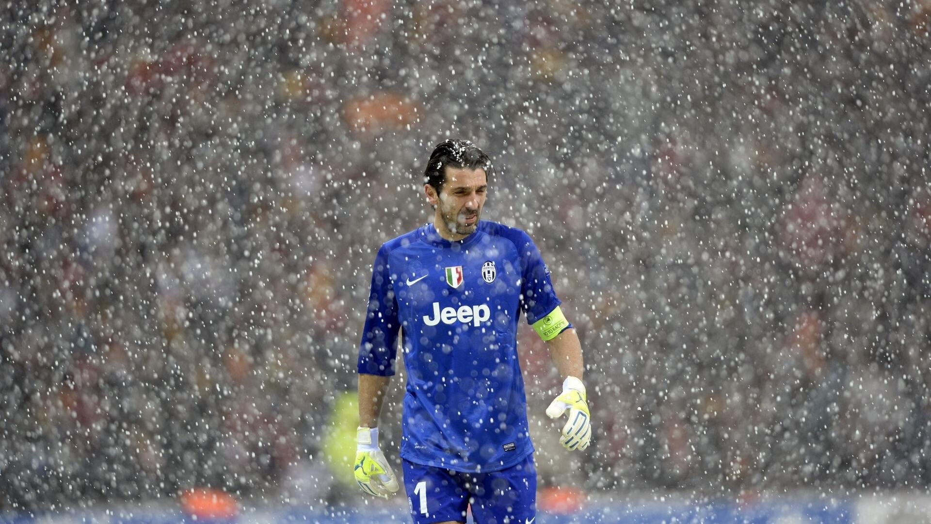 _国际游泳节:水中世界的精彩碰撞_,2021国际游泳比赛