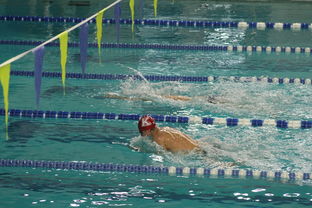 九游官网首页-张雨霏自由泳赛段发力迅速，张雨霏自由泳实力